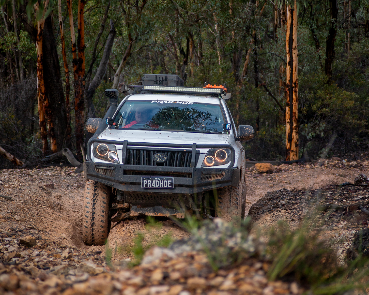 PRADHOE 150 Series Prado