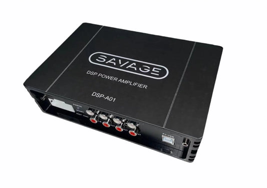 Digital DSP Amplifier for GWM Cannon